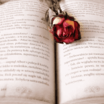 sastra dan bucin min