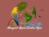 IMG 20220322 WA0000