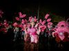 Hujan Badai Tidak Menghentikan Antusias Warga Semarang Menyaksikan Semarang Night Carnival (foto: lpmmissi.com/ Hasan)